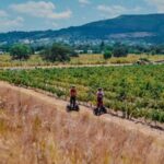 CAPE TOWN: SEGWAY FUN RIDE IN PAARL FREEDOM 301 WITH WILDX - Why This Tour Offers Great Value