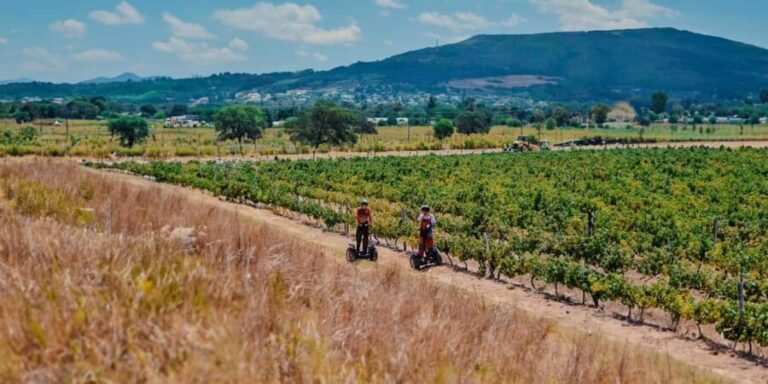 CAPE TOWN: SEGWAY FUN RIDE IN PAARL FREEDOM 301 WITH WILDX - Why This Tour Offers Great Value