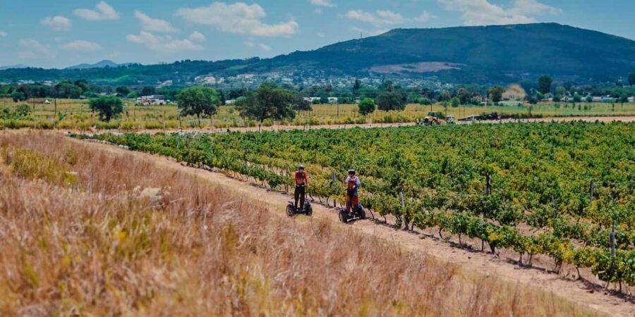 CAPE TOWN: SEGWAY FUN RIDE IN PAARL FREEDOM 301 WITH WILDX - Why This Tour Offers Great Value