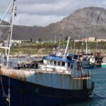 Cape Town: Shark Diving at Gansbaai Harbor Tour - The Tour Experience: A Detailed Breakdown