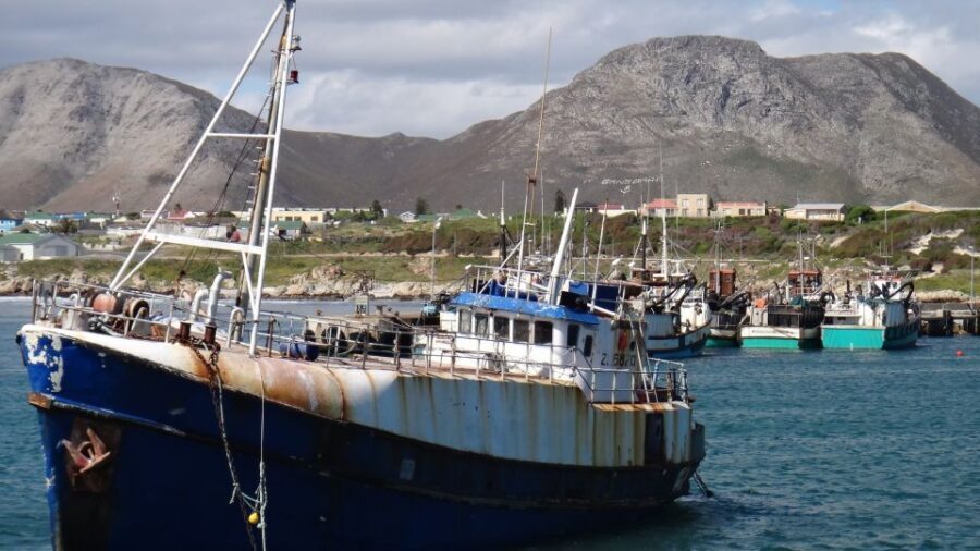 Cape Town: Shark Diving at Gansbaai Harbor Tour - The Tour Experience: A Detailed Breakdown