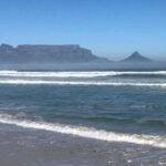 Cape Town: Some Attractions of the Cape (private charter) - What Makes This Tour Value-Driven?
