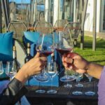 Cape Town: Stellenbosch and Franschhoek Wine Tasting Tour - What Makes This Tour Stand Out?
