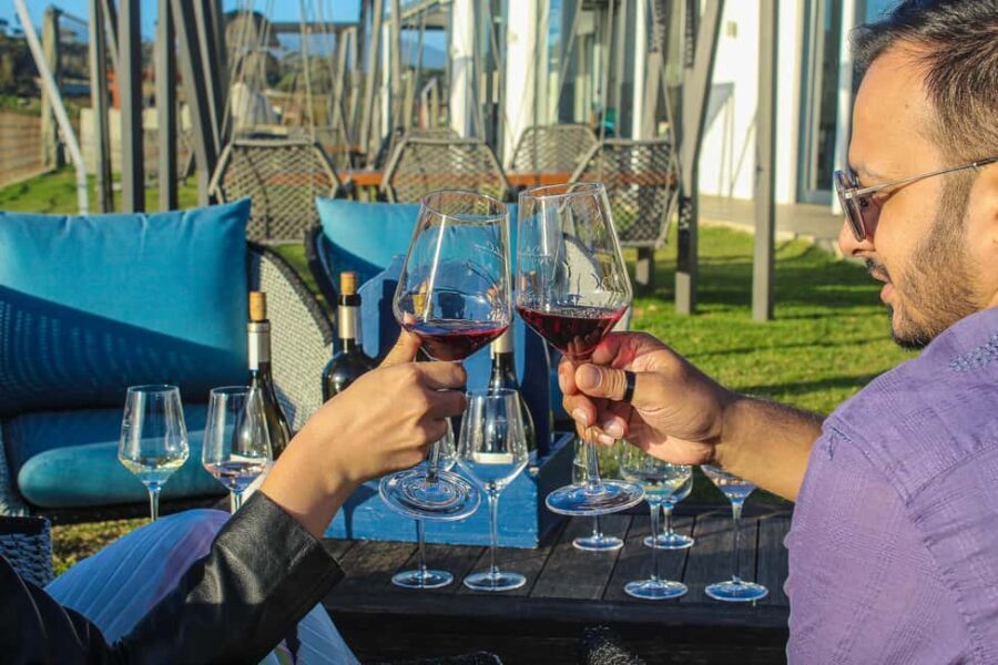 Cape Town: Stellenbosch and Franschhoek Wine Tasting Tour - What Makes This Tour Stand Out?