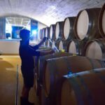 Cape Town: Stellenbosch and Franschhoek Winelands Tour - What Sets This Tour Apart