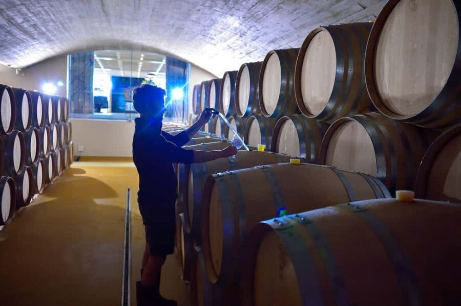 Cape Town: Stellenbosch and Franschhoek Winelands Tour - What Sets This Tour Apart