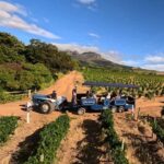 Cape Town: Stellenbosch Hop-On Hop-Off Tractor Wine Tour - What to Expect on the Day
