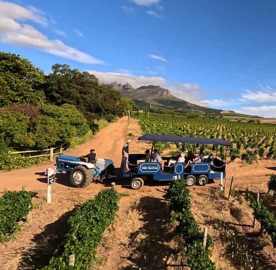 Cape Town: Stellenbosch Hop-On Hop-Off Tractor Wine Tour - What to Expect on the Day