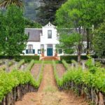 Cape Town: Stellenbosch Wine Half-Day Tour - The Return to Cape Town