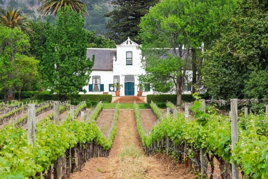 Cape Town: Stellenbosch Wine Half-Day Tour - The Return to Cape Town