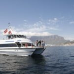 Cape Town: Sunset Champagne Cruise and 3-Course Dinner - Authentic Experiences and Traveler Insights