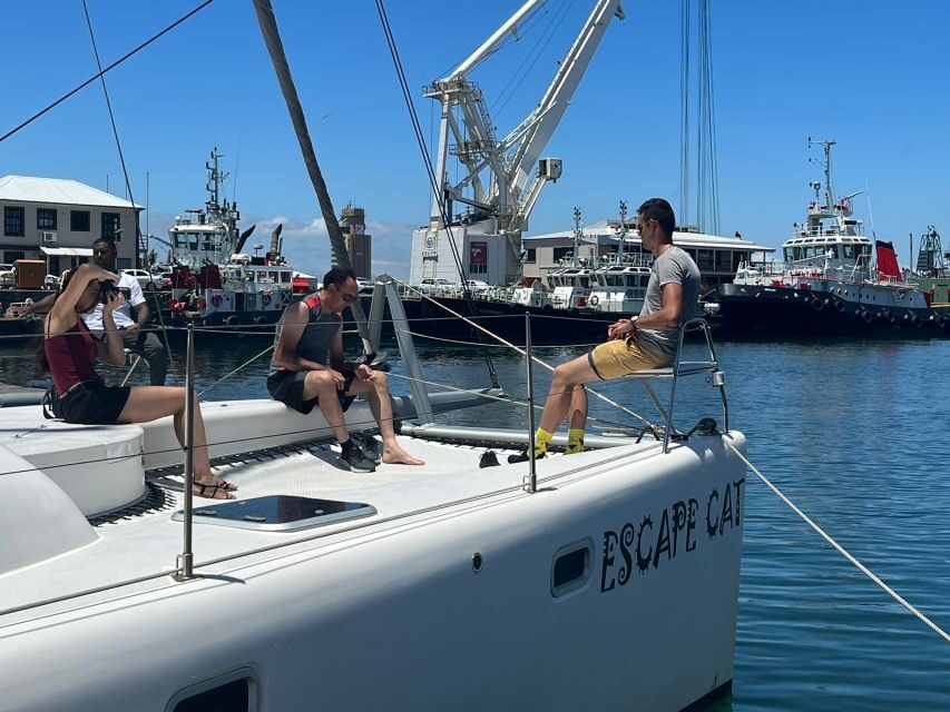 Cape Town: Table Bay Cruise by Catamaran - What Makes This Cruise Special