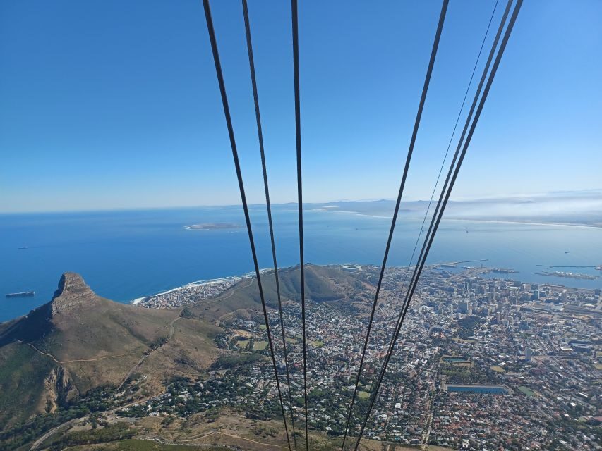 Cape Town: Table Mountain and Penguins Private Guided Tour - What Makes This Tour Stand Out?