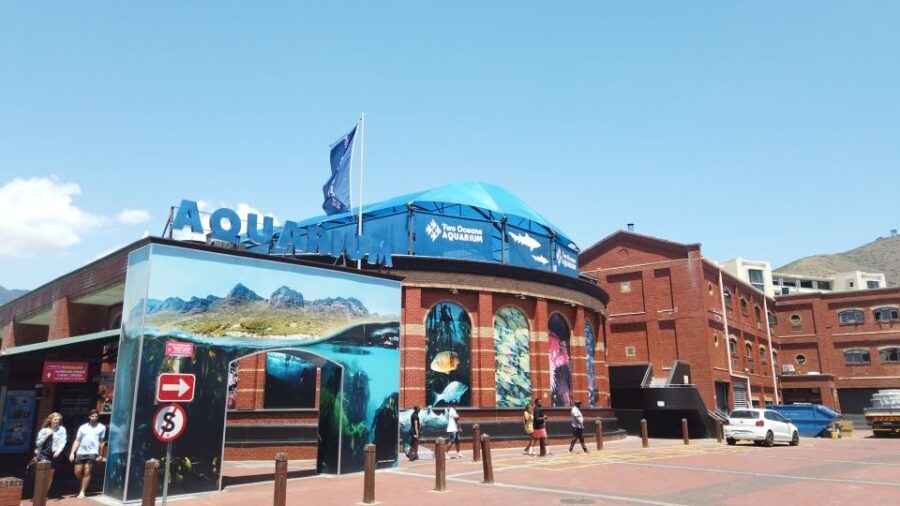Cape Town: Table Mountain and Robben Island Tour - The Value of This Tour