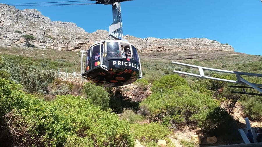Cape Town: Table Mountain Cable Car Ticket - Who Will Love This Tour?