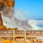 Cape Town: Table Mountain, Cape Point, and Penguins Tour - What You Can Expect from the Tour