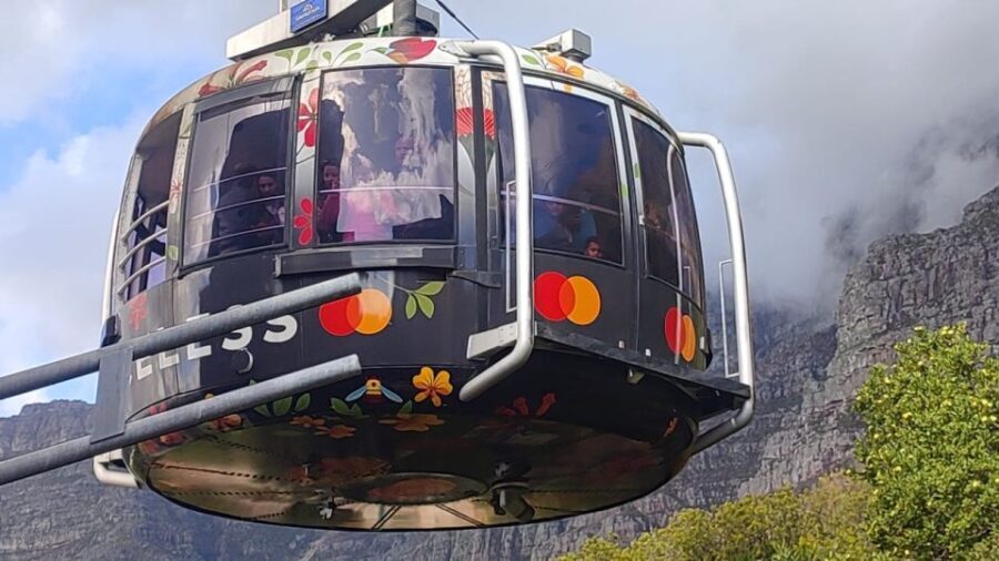 Cape Town: Table Mountain, Cape Point, & Penguins Group Tour - What Makes This Tour Stand Out