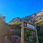 Cape Town: Table Mountain Group Hike via Platteklip Gorge - The Trail and the Views