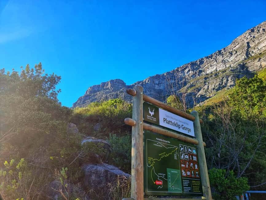 Cape Town: Table Mountain Group Hike via Platteklip Gorge - The Trail and the Views