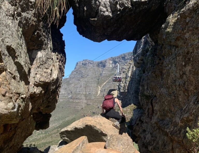 Cape Town: Table Mountain Guided Hike with Spectacular Views - The Itinerary: A Step-by-Step Walkthrough