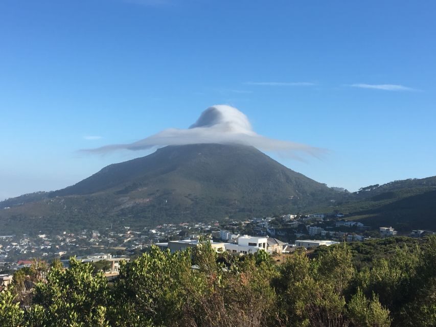 Cape Town: Table Mountain Kasteelspoort Hiking Trail - The Journey Up: Scenic Highlights