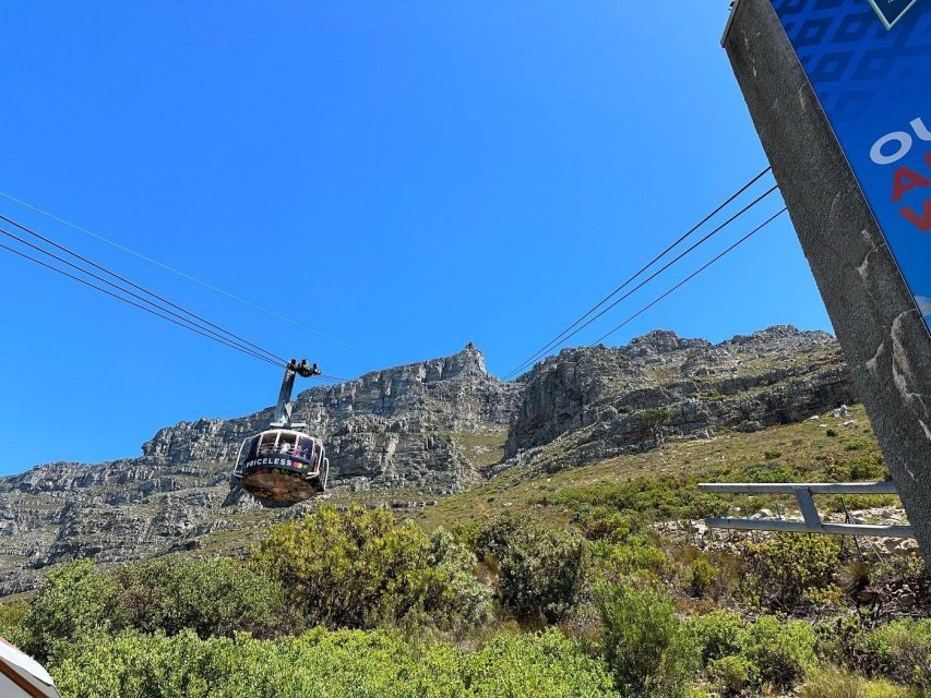 Cape Town: Table Mountain, Penguins & Cape Point Shared Tour - Boulders Beach and the Penguin Colony