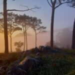 Cape Town: Trail Run Lion's Head and Signal Hill Morning - The Practicalities: What’s Included and What You Need to Know