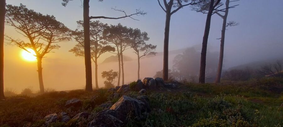 Cape Town: Trail Run Lion's Head and Signal Hill Morning - The Practicalities: What’s Included and What You Need to Know