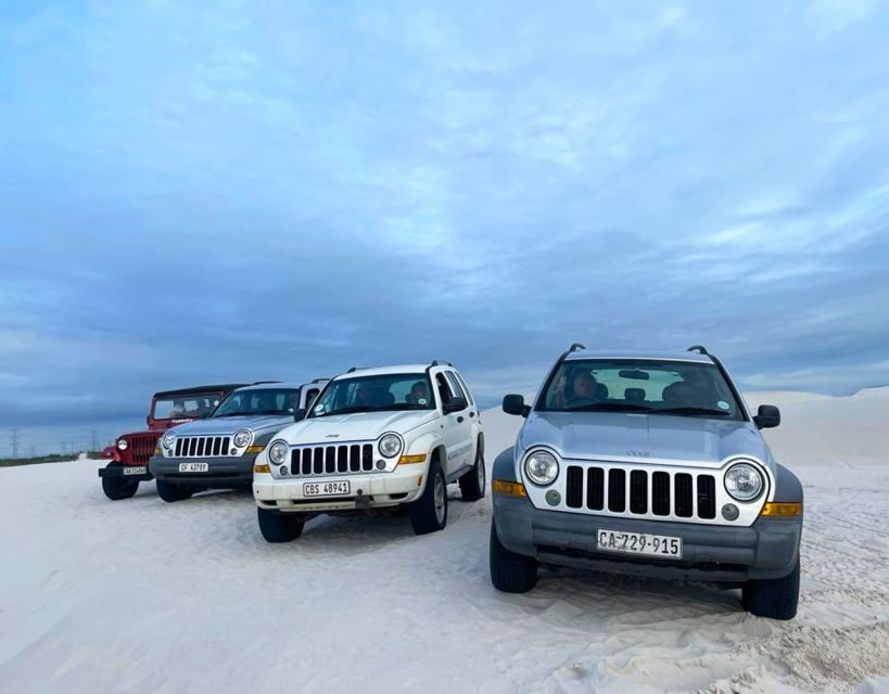 CAPE TOWN: ULTIMATE SANDBOARDING ATLANTIS DUNES WITH WILDX - The Scenic Setting of Atlantis Dunes