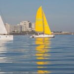 Cape Town: V&A Waterfront 1-Hour Scenic Cruise - What to Expect During the Cruise