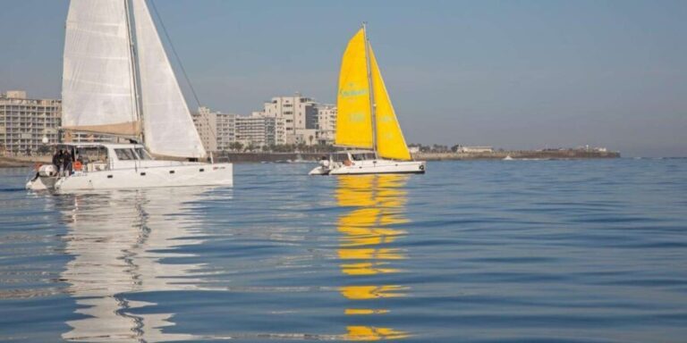 Cape Town: V&A Waterfront 1-Hour Scenic Cruise - What to Expect During the Cruise