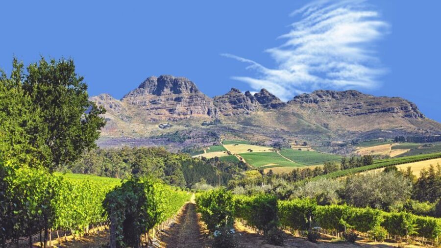 Cape Town Wine Tour (Paarl, Stellenbosch & Franschhoek) - The Practical Side: Whats Included and What To Keep in Mind
