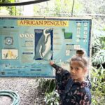 Cape Town: World of Birds & Animal Sanctuary - Practical Details and Tips