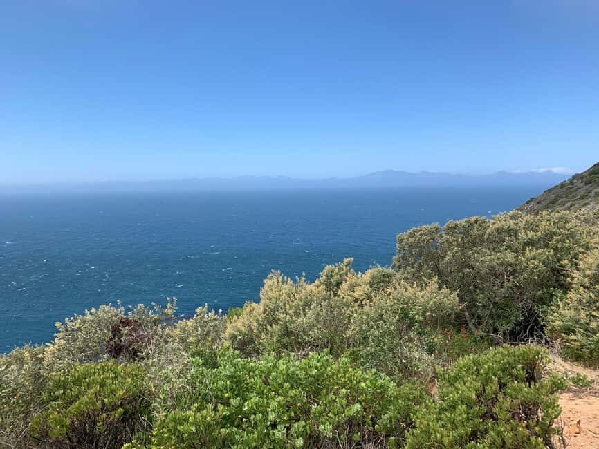 Cape Town:Cape of Good Hope, Penguins & Seal Island, Private - Camp’s Bay: The Photo-Perfect Beachside Village