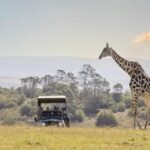 CAPE TOWN:PRIVATE SAFARI DRIVE AT AQUILA GAME RESERVE - Who Is This Tour Best For?