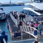 Cape town:Robben Island ,Kirstenbosch Garden & wine tasting - Practical Considerations