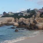 Cape Town:Swim with Penguins at Boulders &cape of good hope - Starting Your Day: Pickup and Transportation