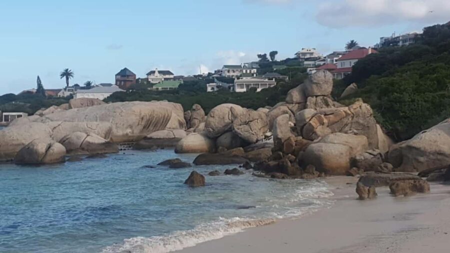 Cape Town:Swim with Penguins at Boulders &cape of good hope - Starting Your Day: Pickup and Transportation