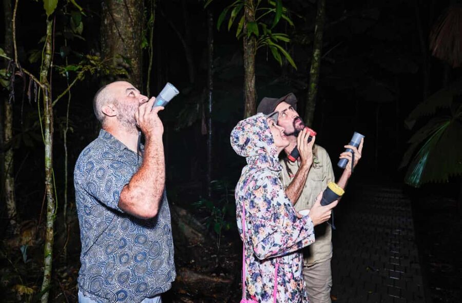 Cape Tribulation: Daintree Rainforest Night Walk Tour - The Value of This Night Walk