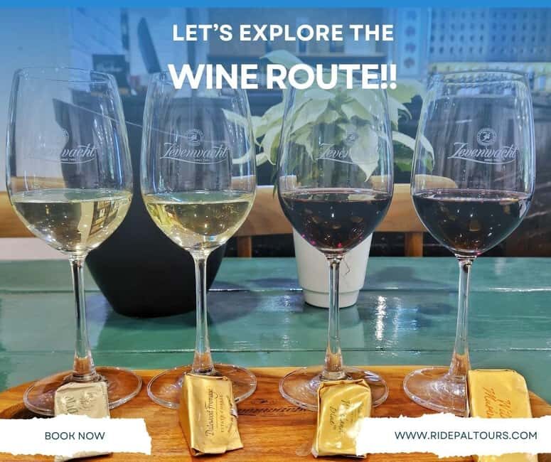 Cape Winelands: Private Full Day Wine Tour - An In-Depth Look at the Cape Winelands Private Tour