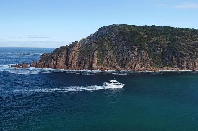 Cape Woolamai Sightseeing Cruise from San Remo - A Series of Beautiful Views and Educational Highlights