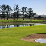 Cape,Town Golf day and Wine Tasting at Ernie Els wine estate - Who Will Enjoy This Tour?