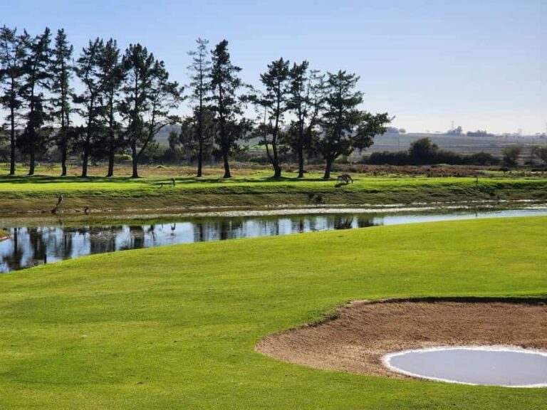Cape,Town Golf day and Wine Tasting at Ernie Els wine estate - Who Will Enjoy This Tour?