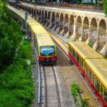 Captivating Side of Dunedin Walking Tour for Couples - Transportation & Group Size