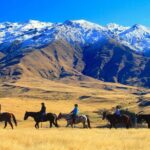 Cardrona High Country Pub Trail Horse Riding Trek (Intermediate+) - Final Thoughts