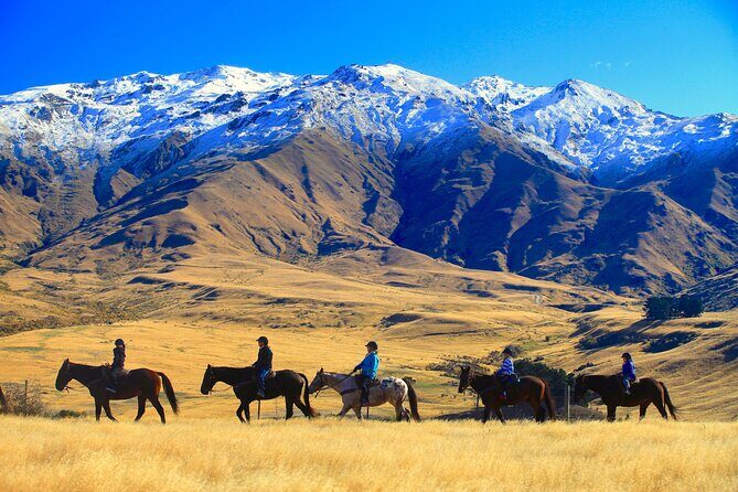 Cardrona High Country Pub Trail Horse Riding Trek (Intermediate+) - Final Thoughts