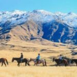 Cardrona Valley: Horse Trekking Experience - FAQ