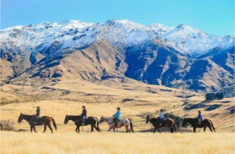 Cardrona Valley: Horse Trekking Experience - FAQ