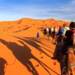 Casablanca: 6-Day Tour To Marrakech Via Chefchaouen & Desert - What Makes This Tour Stand Out?