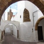 Casablanca: Private Guided Tour with Hassan II Mosque Ticket - The Practical Side: Transportation, Timing, and Value